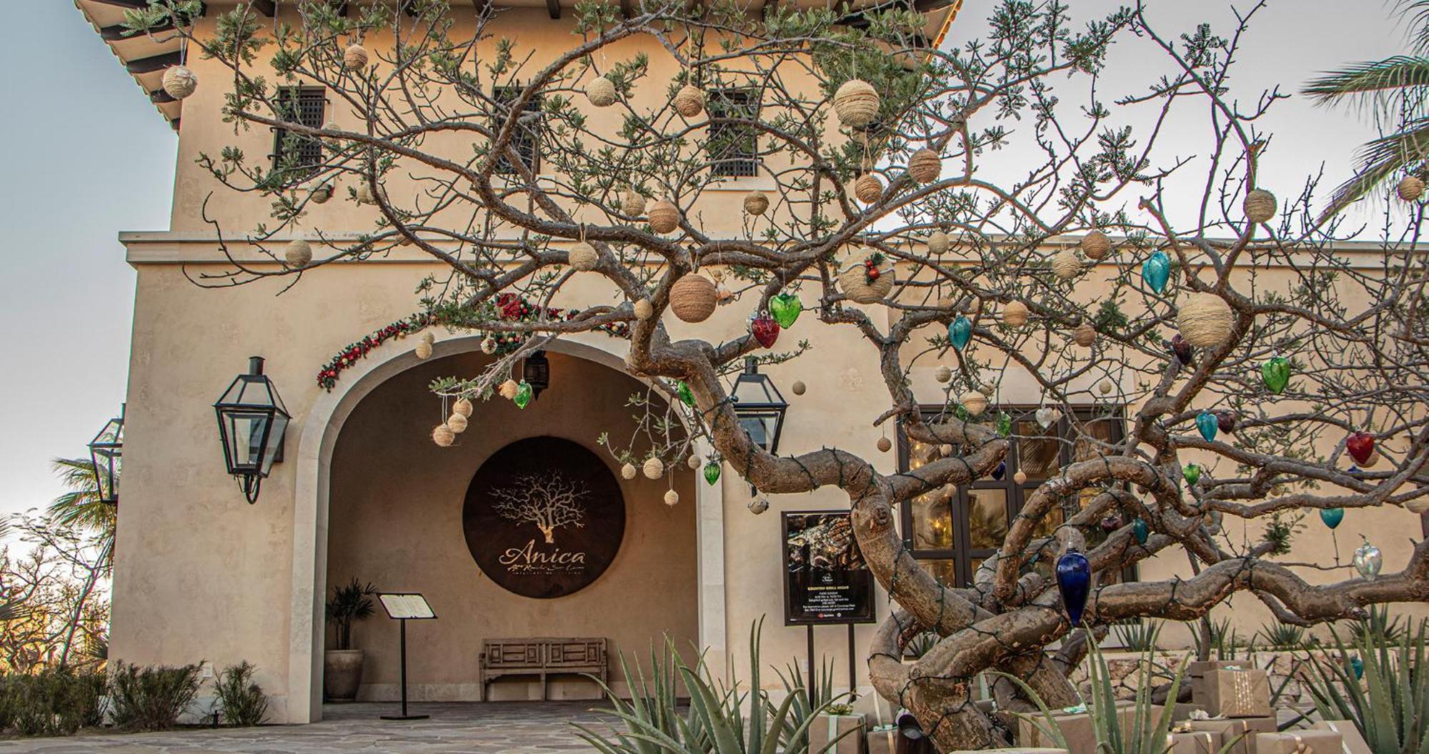 Grand Solmar Pacific Dunes Resort, Golf & Spa Cabo San Lucas Exterior photo
